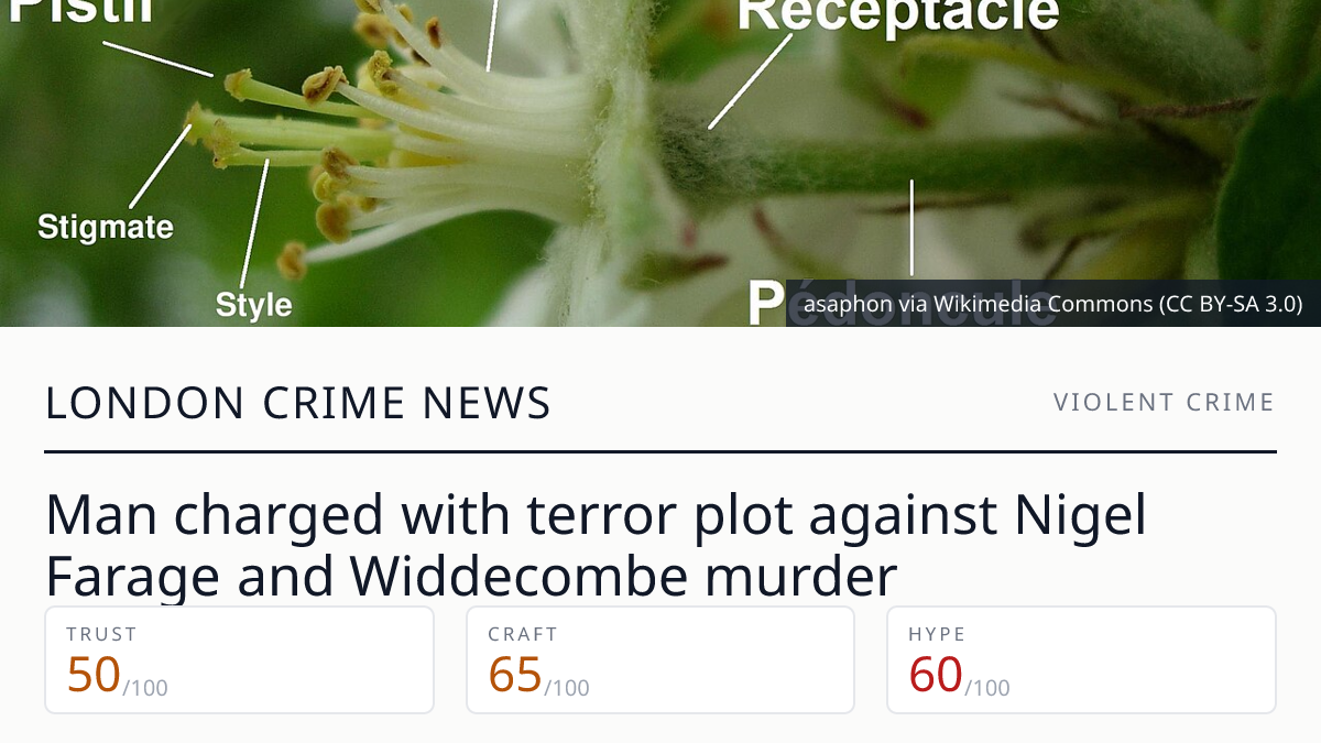 Joshua Kerry charged with terror plot | London Crime News