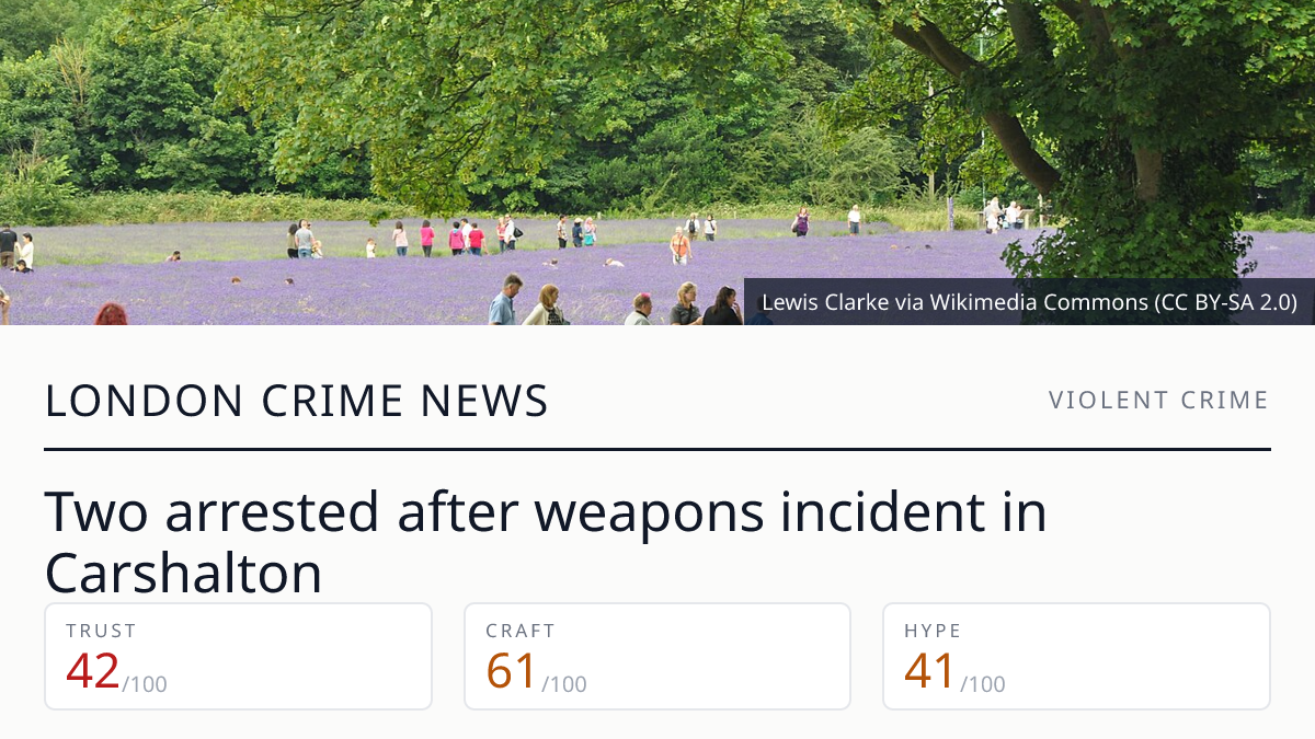 Carshalton arrests after Mill Lane violence | London Crime News