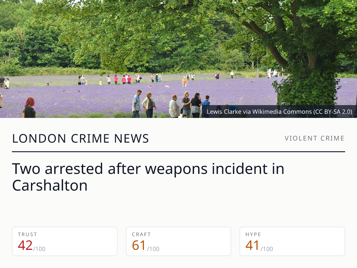 Carshalton arrests after Mill Lane violence | London Crime News